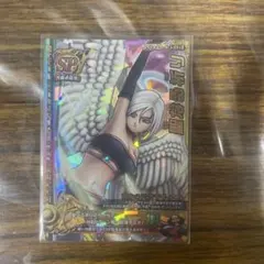 ドラゴンクエスト モンスターバトルロード SP 聖なる祈り ラヴィエル