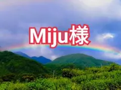 Miju様　山梨県産　20kg　新鮮　中熟～完熟　白加賀梅 Miju 様 山梨県産 20kg 新鮮 中熟～完熟 白加賀梅 - メルカリ