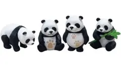 Item thumbnail for item 84617ecc-b729-46f5-8dd4-f28241a7009f