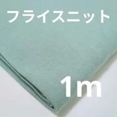 【特価】フライスニットスモークグリーン 1m ⑦