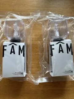 タイムレス　FAM ペンライト 2個セット