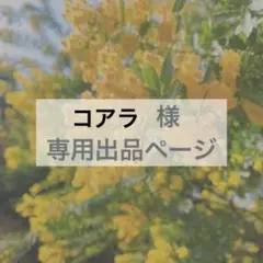 コアラ様　専用出品