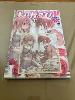 まんがタイムきららMAX 200号記念 特別付録冊子 - メルカリ
