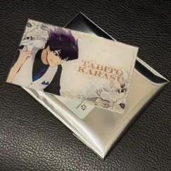 2025年最新】烏旅人 カードの人気アイテム - メルカリ