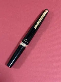 メーカー点検済/定価3.8万】パイロット 万年筆 カスタム74 BB 極太字