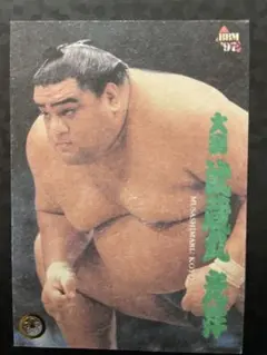 BBM1997 BBM97 BBM 相撲 大相撲カード S-4 和紙 武蔵丸のサムネイル