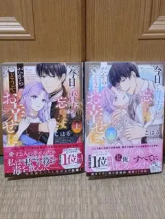 今日で貴方を忘れます。だからどうぞお幸せに。 上•下巻