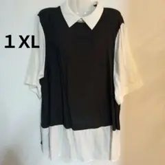 大きいサイズ SHEIN バイカラー 半袖シャツ 1XLのサムネイル