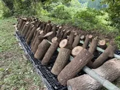 本物】鉄道枕木 古材 ガーデニング・DIYに最適アンティーク - メルカリ