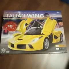 RC リモートオープン　イタリアンウイング　イエロー