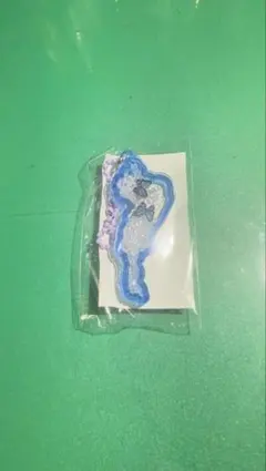 BIWAKO 琵琶湖 アクリルキーホルダー
