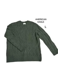 AMERICAN EAGLE ケーブルニットセーター L
