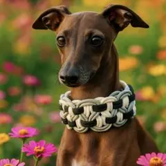 パラーコード　首輪