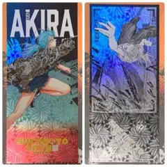 ☆ サカモトデイズ　サカモトデイズ展　チケット風カード　赤尾晶