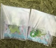 サンリオ　グミチュアチャーム　グミ&ミニポーチ　ポチャッコ　2個セット