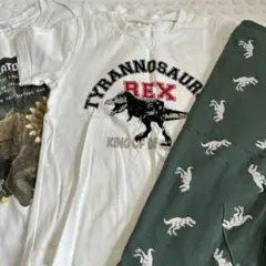 Item thumbnail for item 19e1e8a4-df13-4cb4-8957-b8e66b47bac8