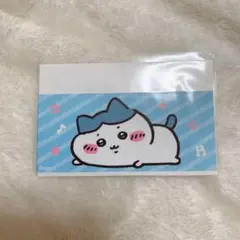 ちいかわ マイナンバーカードケース ハチワレ 1枚