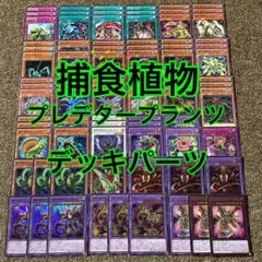 遊戯王 捕食植物デェアデビル VX06 プレデタープランツ ウルトラ 2枚