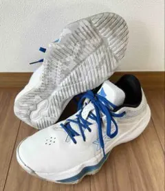 2025年最新】nova surge low 26.5の人気アイテム - メルカリ