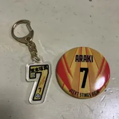 Item thumbnail for item 48b8d434-afda-4167-b265-df06c40880cc