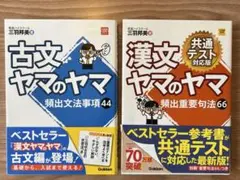 古文・漢文ヤマのヤマ 2冊セット
