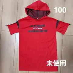 Item thumbnail for item 5508d0a6-e3f4-416a-b61b-2c38e43b20d6