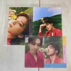 SEVENTEEN sector17 kit キノ ステッカー トレカ ディノ