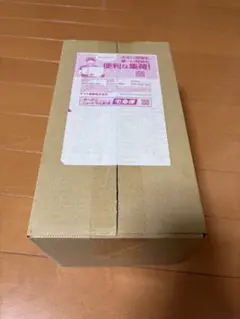 【新品未開封】ポケモンセンター フクオカ スペシャルボックス