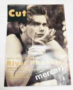 ⭐️稀少 リバー・フェニックス 写真集 ポスター 2枚 ポストカード 2枚