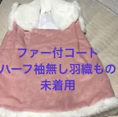 Item thumbnail for item 8ca3f62b-e3bc-4225-88ce-6517e4a0b805