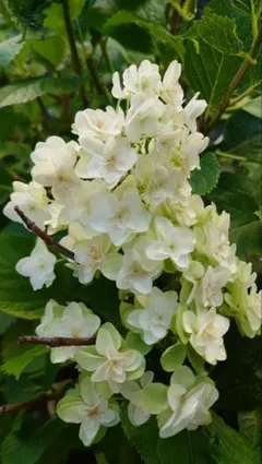 yoshie様 リクエスト 3点 まとめ商品