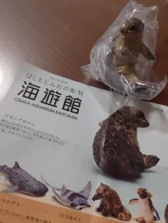 はしもとみおの彫刻 海遊館 ガチャガチャワモンアザラシ