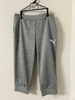 Item thumbnail for item 479331ac-a466-46ca-aaf6-df6c0c462280