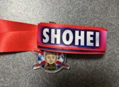 Item thumbnail for item 3afbad6a-97d8-432a-9114-a075953e7671