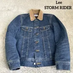 【✨美品】Lee リー STORM RIDER ストームライダー M
