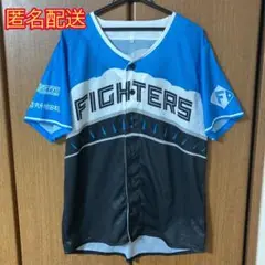 エスコンフィールドユニフォーム2025 FIGHTERS