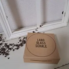 ✴✴シャーレ✴✴