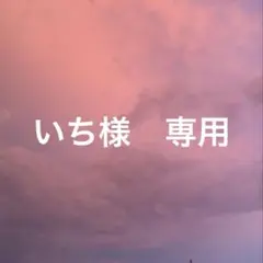 いち様　専用