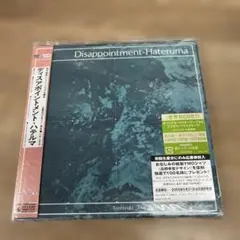 48 Disappointment-Hateruma 坂本龍一