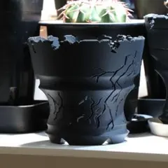 5号サイズ 3Dプリント鉢 3Dプリンター鉢 アガベ 塊根作家鉢