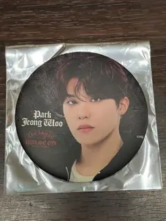 TREASURE PULSE ON ツアー 缶バッジ ジョンウ