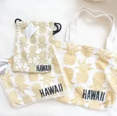 Hawaii パイナップル　 3点セット
