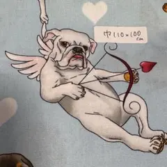 輸入生地 アレキサンダーヘンリー 天使 犬 1m 水色