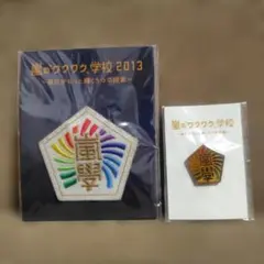 嵐 嵐のワクワク学校2013 ワッペン ピンバッジ セット