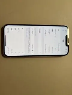 iPhone iPhone13 本体