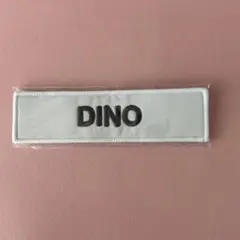 セブチ　ディノ　ネームワッペン　carat summer camp 新品未開封 SEVENTEEN ディノ ワッペン セブチ ディノ ネームワッペン carat