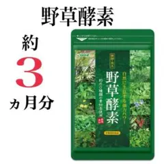 【野草酵素】約３ヶ月分☆約80種類の野草、野菜、キノコ、果実をギュッと凝縮！