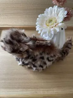 ヒョウ柄 ポーチ