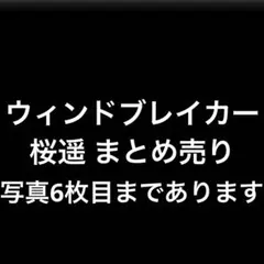 ウィンドブレイカー 桜遥 アクリルスタンド ぬいぐるみ ガチャガチャ 一番くじ