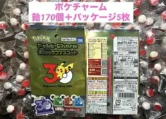 ポケモン ポケチャーム 飴170個＋パッケージ5枚